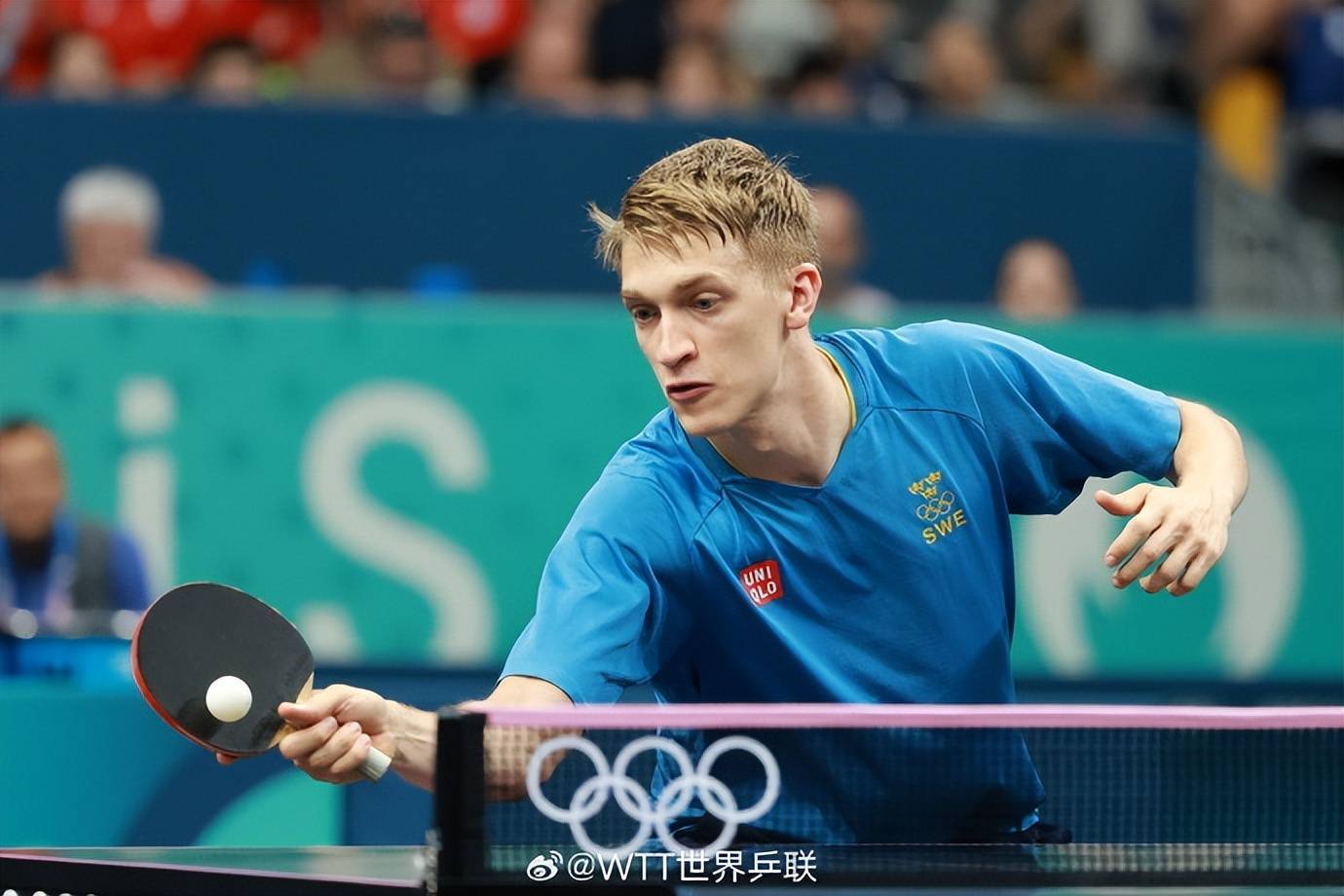 开云体育-波兰队绝杀德国队，波尔扛起全队