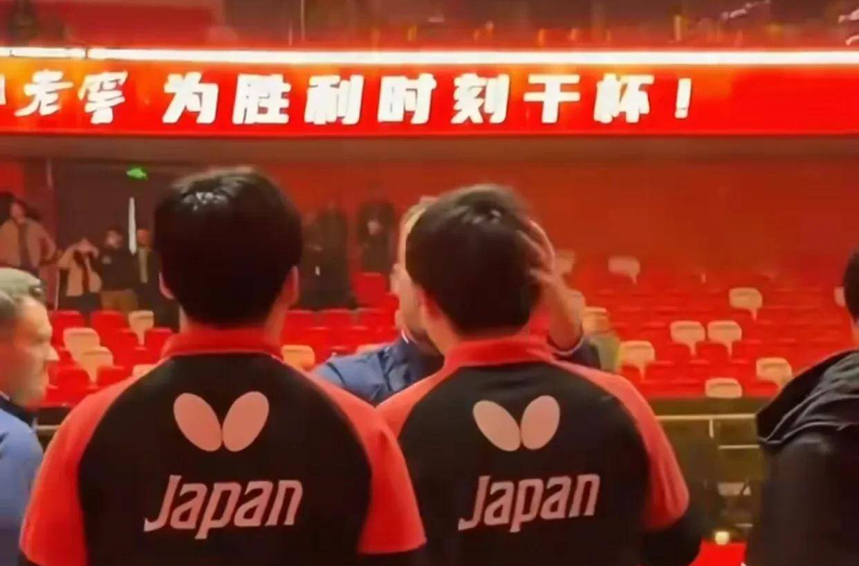 法国队险胜中国队，张本智和高光表现